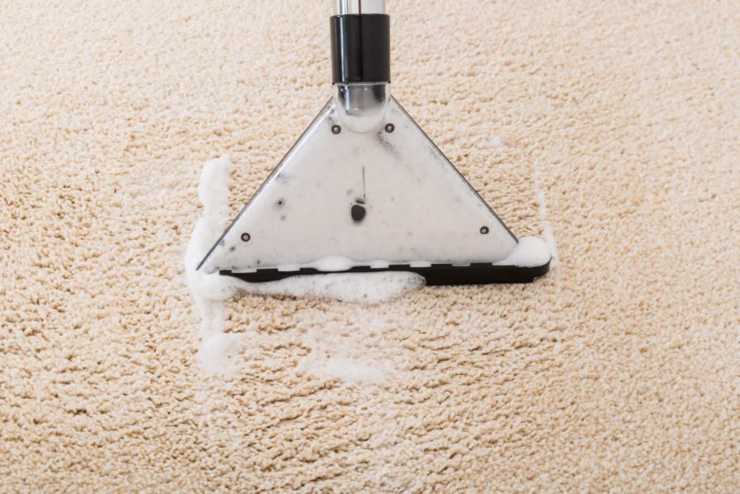 EW Magic Carpet Cleaning: Service Image-3 EW Magic Carpet Cleaning: Service Image-3